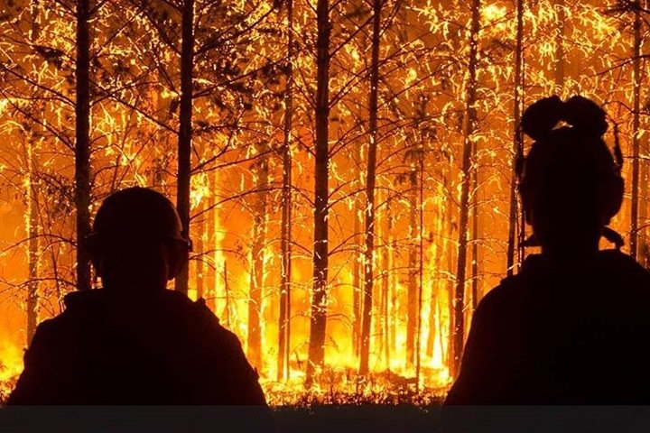 Лесные пожары и астма